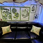 Boutique Apartman Dora Jungle