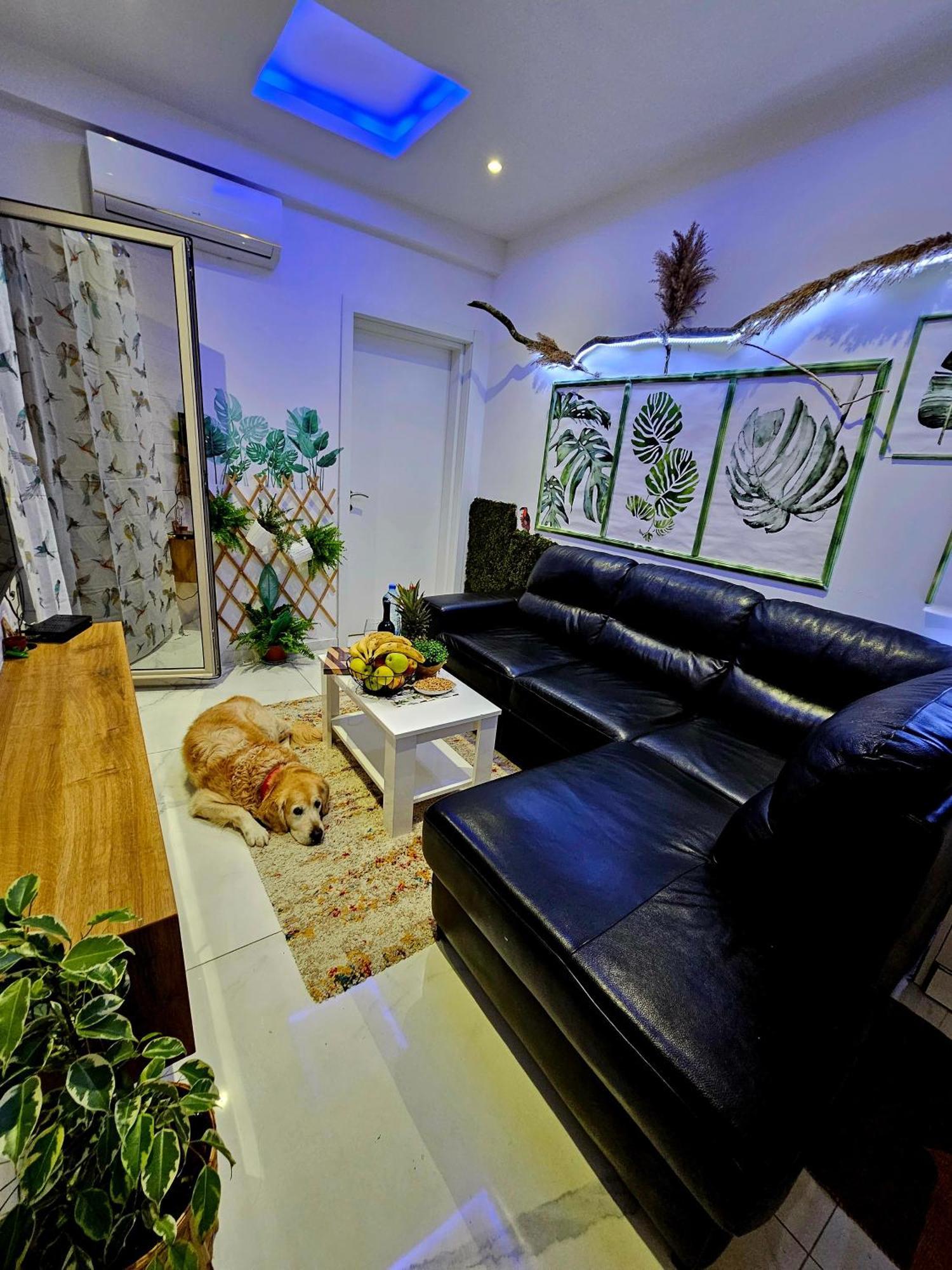 Boutique Dora Jungle Budva
