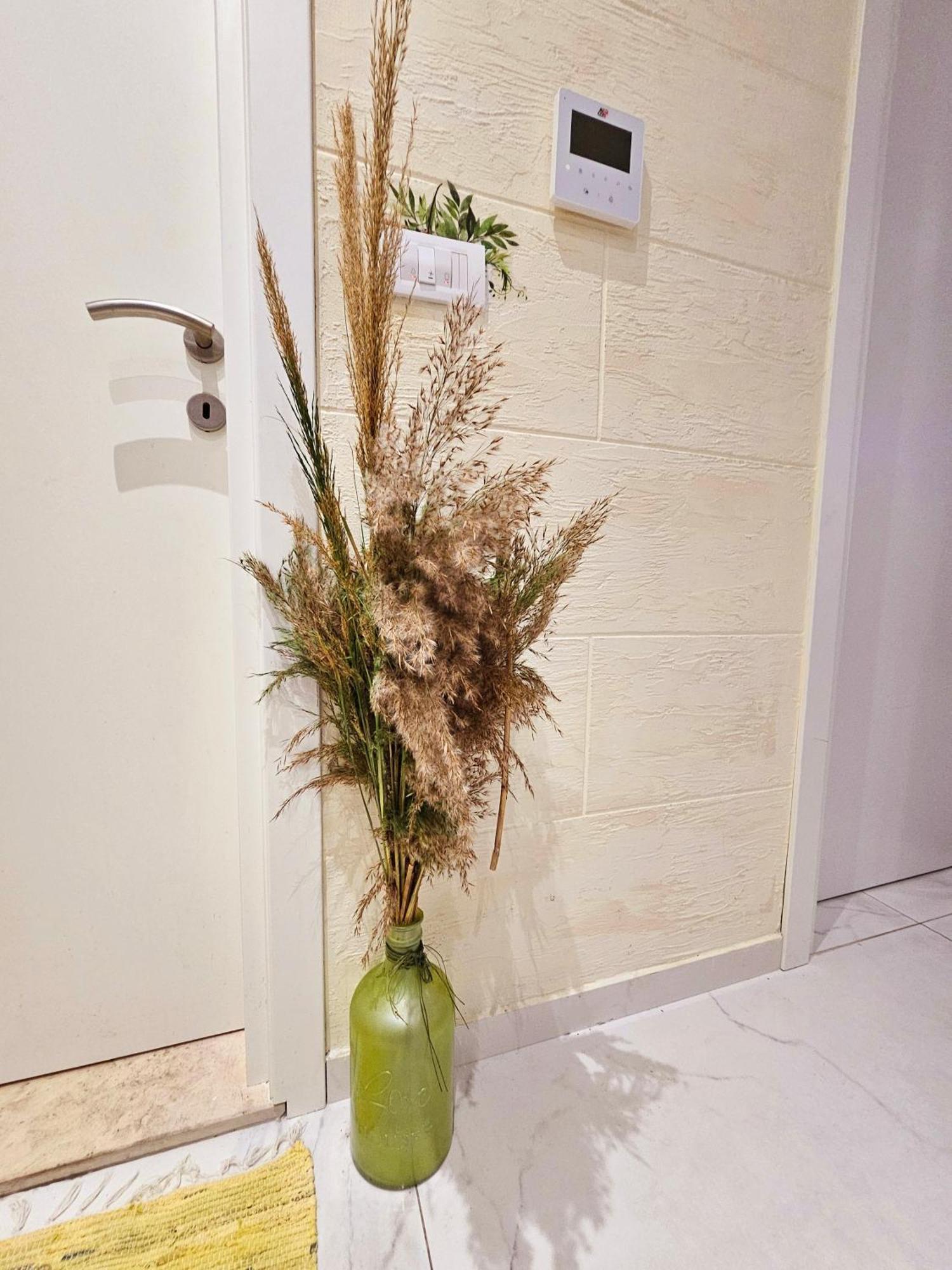 Boutique Dora Jungle Apartment Budva
