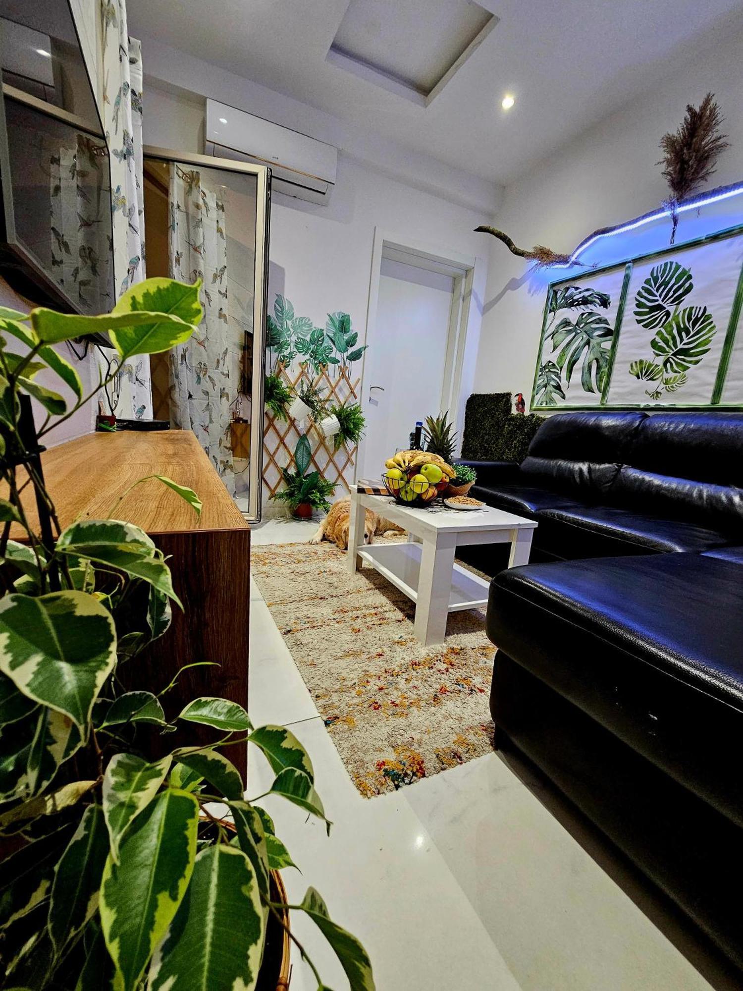 Apartment Boutique Dora Jungle *