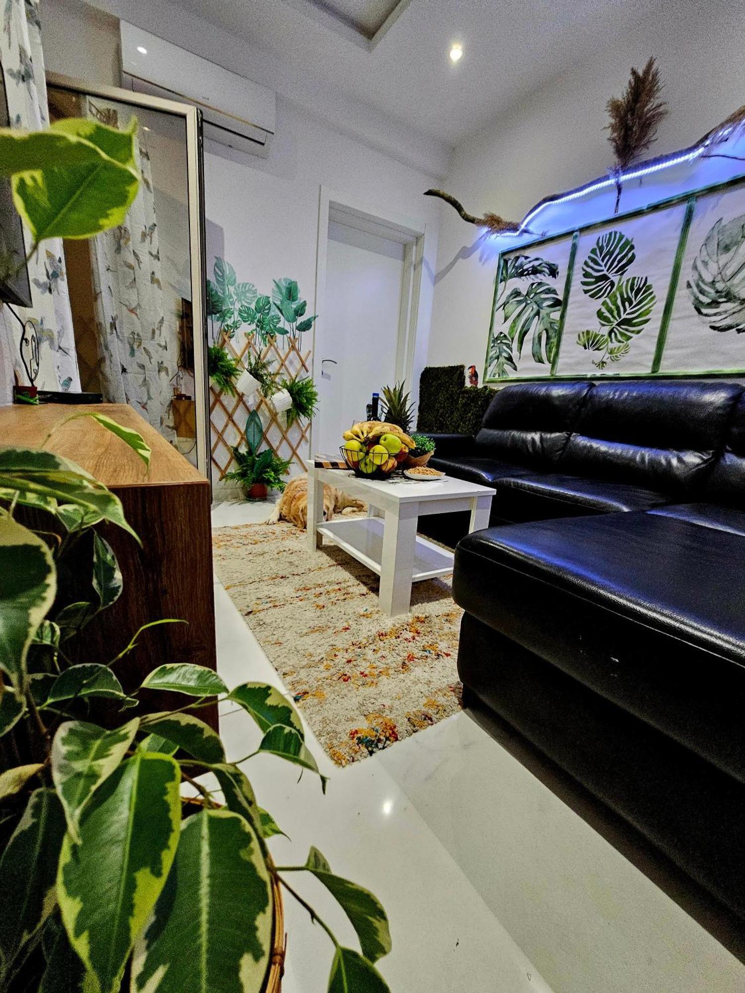 Boutique Dora Jungle Apartment