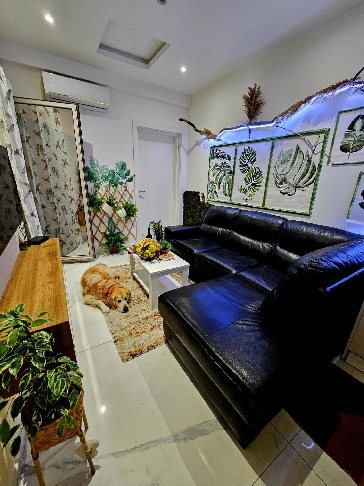 Boutique Dora Jungle *
