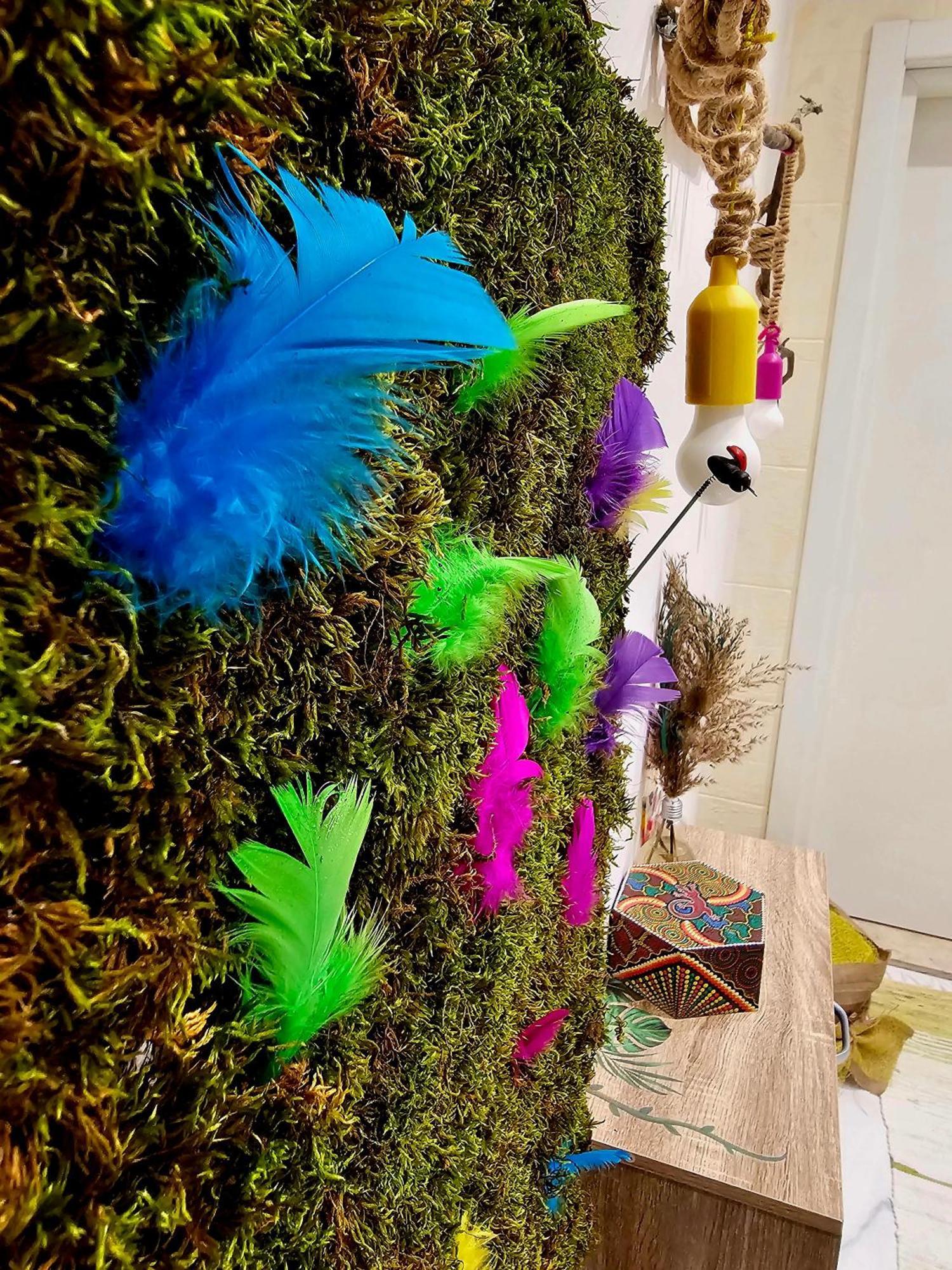 Apartment Boutique Dora Jungle *